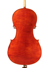 cello - Gaetano Gadda - back image