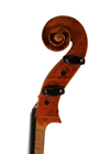 cello - Giuseppe Rossi - scroll image