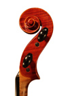 viola - Giuseppe Lucci - scroll image