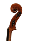 viola - Stefano Scarampella - scroll image