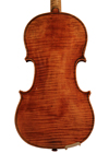 violin - Alessandrus Despine - back image
