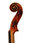 violin - Bernardus Calcanius - scroll image