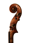 violin - Dom Nicolo Amati - scroll image
