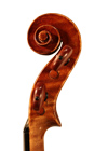 violin - Gaetano Pollastri - scroll image
