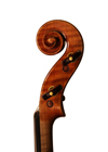 violin - Giuseppe Ornati - scroll image