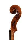 violin - Jacobus Stainer - scroll image