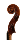 violin - Joannes Franciscus Celoniatus - scroll image