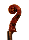 violin - Marino Capicchioni - scroll image